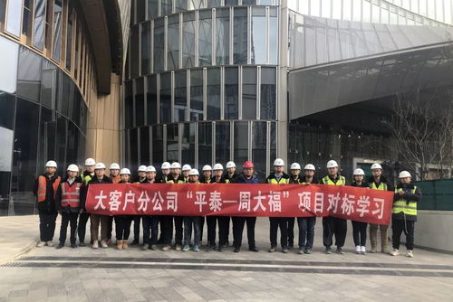 冬日里的活力交響 項目運營中的學習、演練與迎檢熱潮